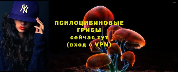 Альфа ПВП Елабуга
