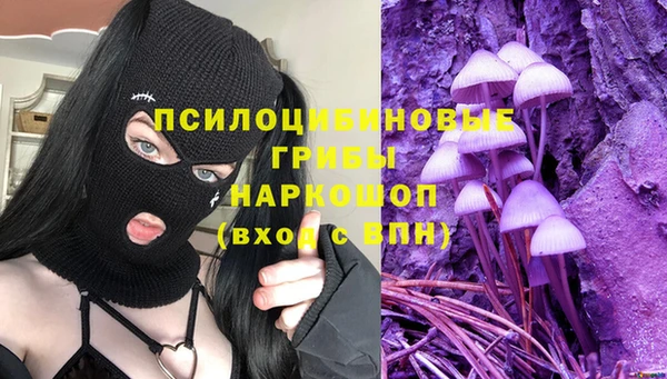 Альфа ПВП Елабуга