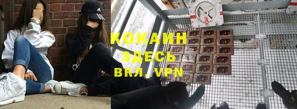 скорость Ельня
