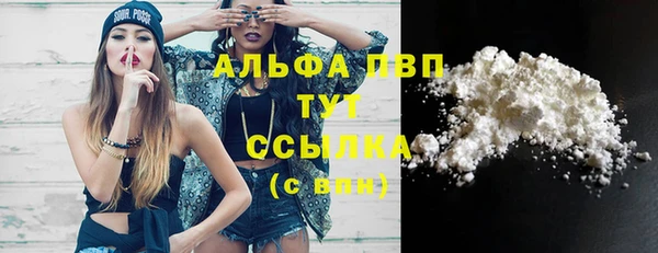 скорость Ельня