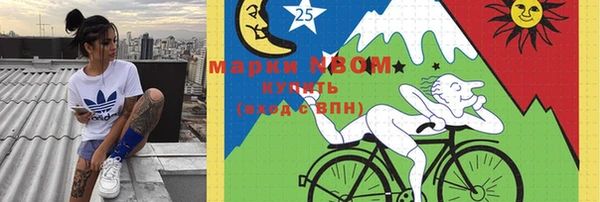 скорость Ельня